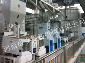 大米加工設(shè)備 成立機械提供整套加工工藝,大米加工設(shè)備 成立機械提供整套加工工藝生產(chǎn)廠家,大米加工設(shè)備 成立機械提供整套加工工藝價格